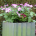 Emma Planter Box (crinkle/corrugated)